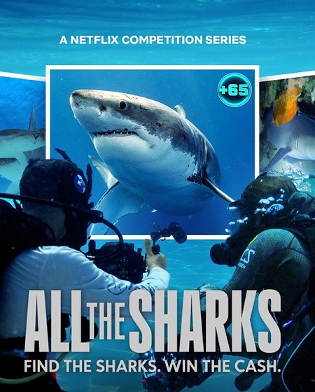 برنامج All the Sharks الموسم الاول الحلقة 2 مترجمة