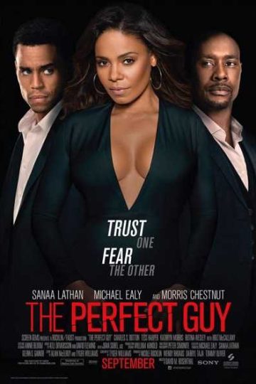 The Perfect Guy 2015 BluRay