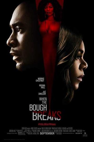 When the Bough Breaks ( 2016 )