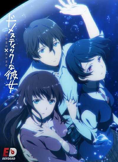 مشاهدة انمي Domestic na Kanojo الحلقة 6