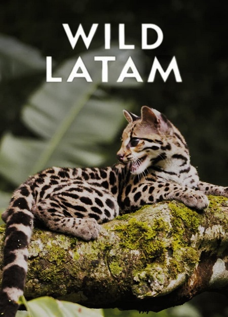 مسلسل Wild Latam الموسم الاول الحلقة 5 مترجمة