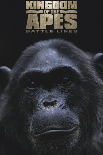 Kingdom of the Apes Battle Lines ( 2017 )
